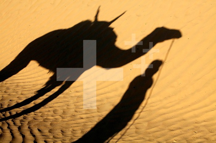 Camel driver´s shadow in the Sahara desert.
