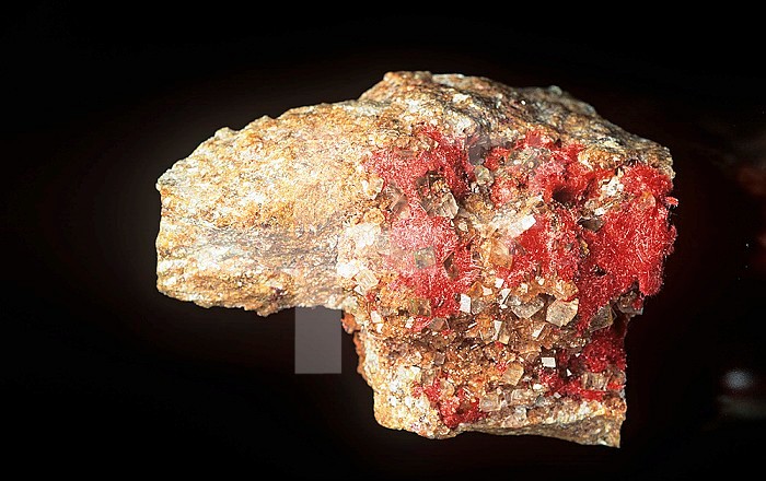 Chalcotrichite (red), Tsumeb Mine, Namibia, Africa.