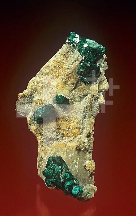 Dioptase crystals on Calcite, Kazakhstan.