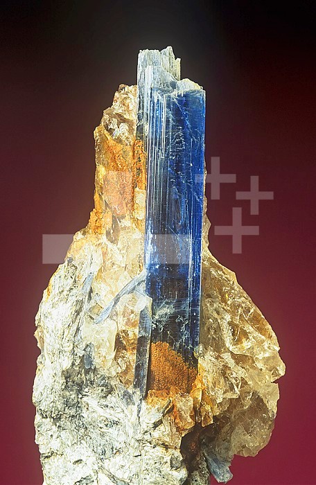 Kyanite crystal with Mica and Quartz, Minas Gerais, Brazil, South America.