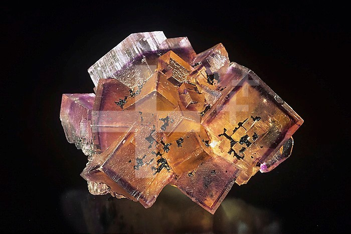 Fluorite crystals (CaF2), Denton Mine, Illinois, USA.