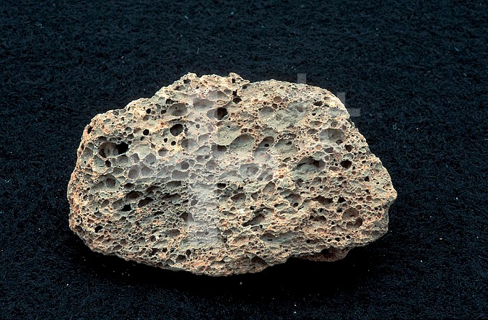 Pumice specimen, an igneous rock.
