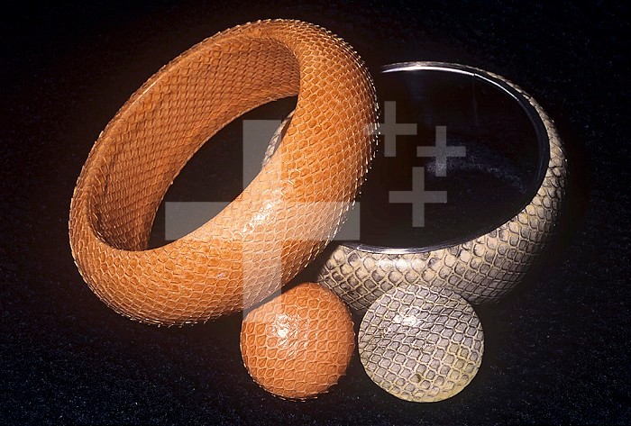 Snake-skin bracelets and earrings, man's misuse of animals, made in the Philippines.