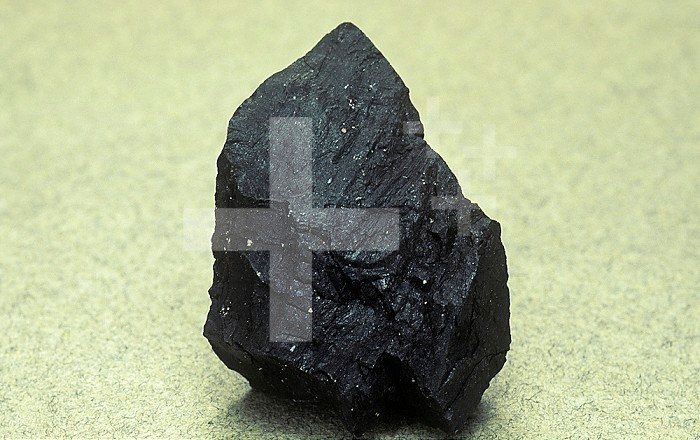 Jet, a hard black variety of Lignite Coal found as isolated masses in Bituminous Shale.