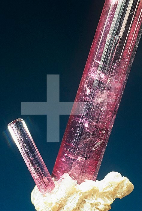 Tourmaline crystals with Lipidolite, Minas Gerais, Brazil, South America.