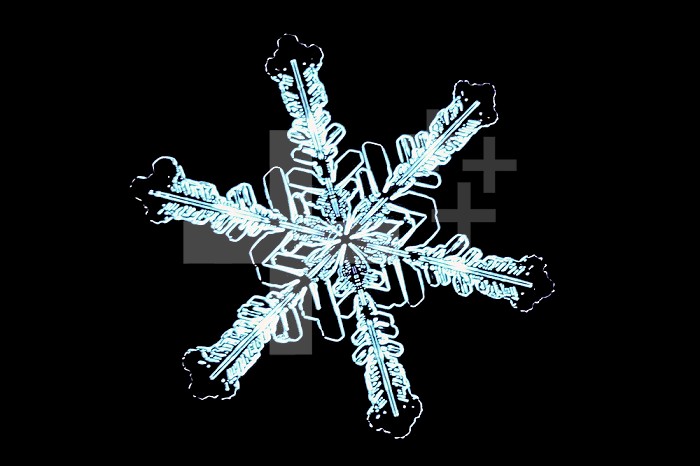 Stellar snow crystal. LM