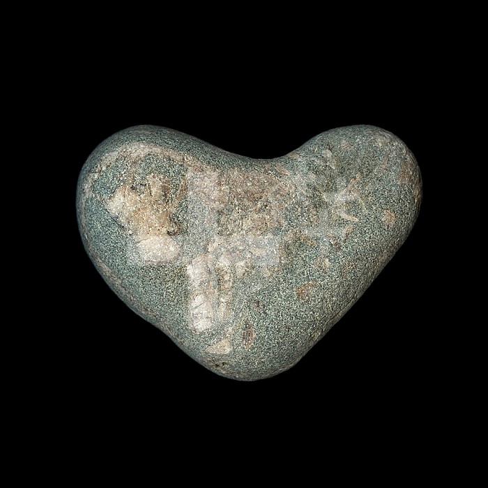 Heart-shaped stone with an inclusion that resembles the skeleton of a horse