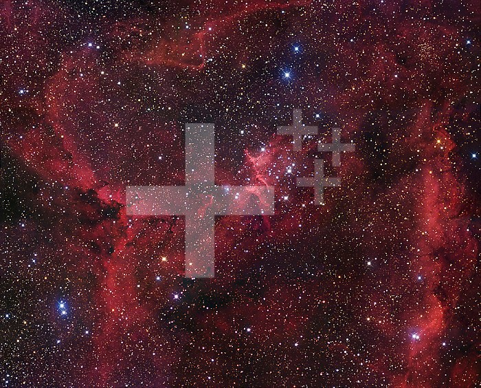 The region of Nebula IC1805