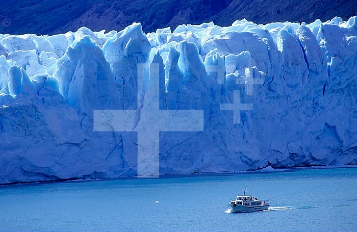 Boat sailing in front of Perrito Moreno Glacier, Parque Nacional Los Glaciares, Patagonia, Argentina