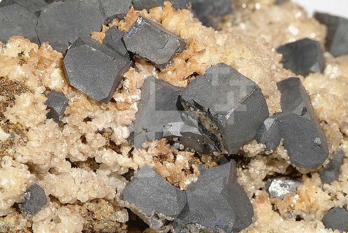 Galena and Pyrite crystals on Dolomite, England
