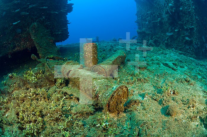 Munitions in the wreckage of the USS Saratoga, Marshall Islands, Bikini Atoll, Micronesia, Pacific Ocean