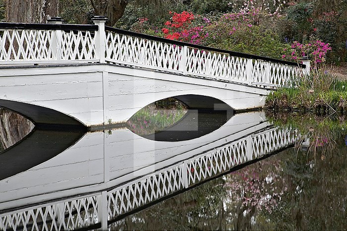 White bridge reflecting in a pond, Magnolia Plantation, Charleston, South Carolina, USA.