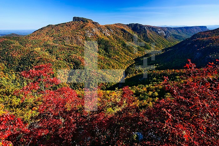 Autumn view of Linville Gorge in the Appalachian Mountains, often called the Grand Canyon of North Carolina, Pisgah National Forest, North Carolina, USA.