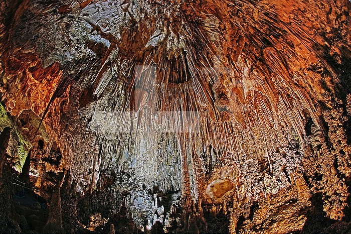 Stalactites in the Big Room, Carlsbad Caverns National Park and World Heritage Site, New Mexico.