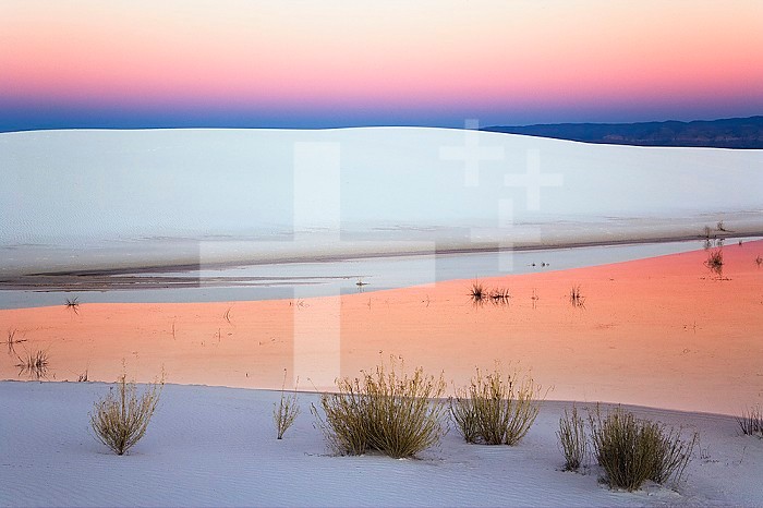 Dusk sky reflected in a pool of water from recent rains, White Sands National Monument, New Mexico, USA.