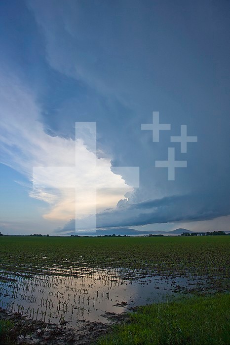 A supercell in western Nebraska reflected in flooded fields, USA.