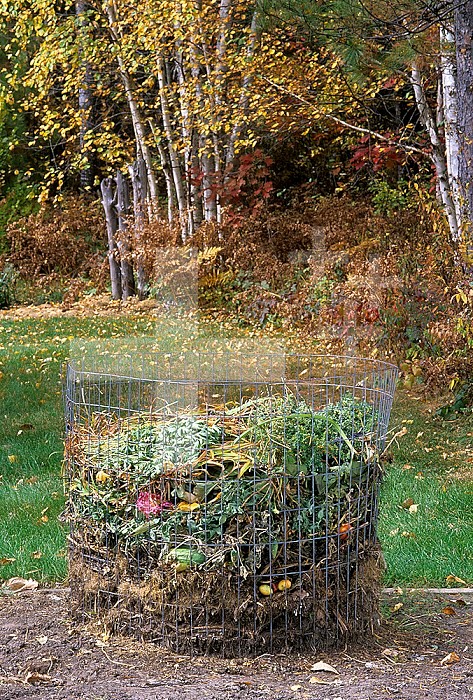 Compost in a wire bin in a home garden. Note the vertical difference in decomposition of composted materials.
