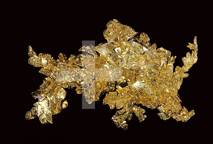 Gold (Au), a native element, Sonora, California, USA.