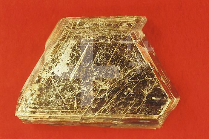 Muscovite, a member of the Mica group of minerals.