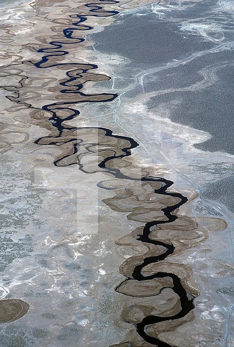 Meandering river with old and current oxbows, Owens River, California, USA.
