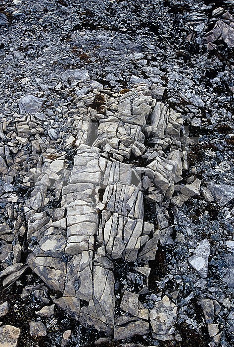 Limestone rocks on the arctic tundra cracked by the freezing and thawing of water, Svalbard, Norway.