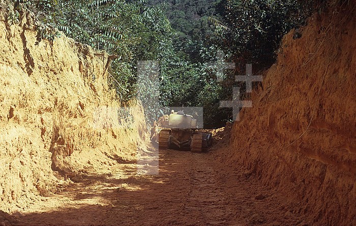 Destruction of a Brazilian tropical rainforest for roads and access to timber trees, South America. Note the lateritic soil.