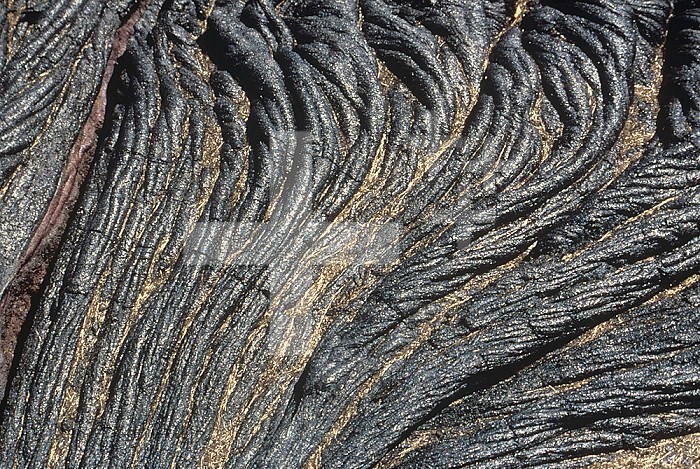 Pahoehoe or ropy lava flow with golden strands of Pele's Hair (strands of volcanic glass), Hawaii, USA.
