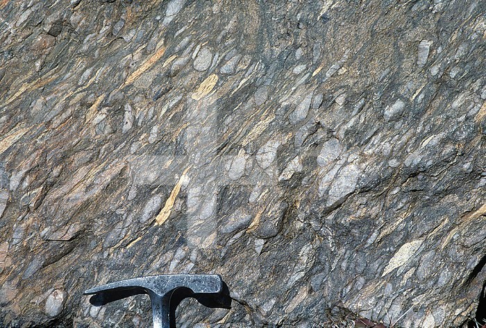 Deformed pebbles in Cambrian Tapeats Sandstone, California, USA. Close-up view with a geology pick for scale.