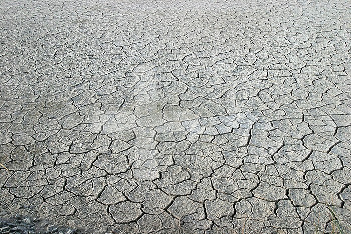Desiccation cracks in evaporite mud of a dry lake bed or playa, Southern Oregon, USA.