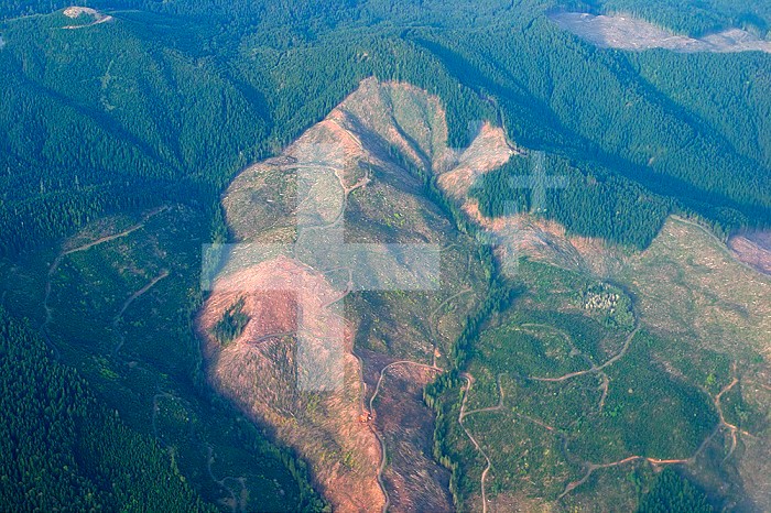 Aerial view of a large clearcut forested area in West-Central Oregon, Cascade Mountains, USA. Some areas formerly cut are undergoing reforestation.