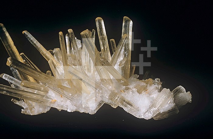 Selenite crystals, a variety of Gypsum.