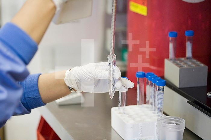 In vitro fertilization lab technician preparing sperm.
