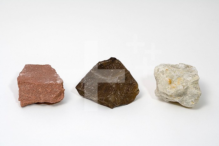 Sedimentary Rocks - From Left to Right - Sandstone, Oil Shale, Fossil Limestone