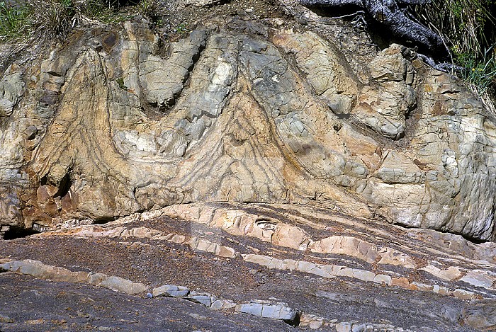Detached folds and detachment fault in Sandstone and Shale. Washington Coast, USA.