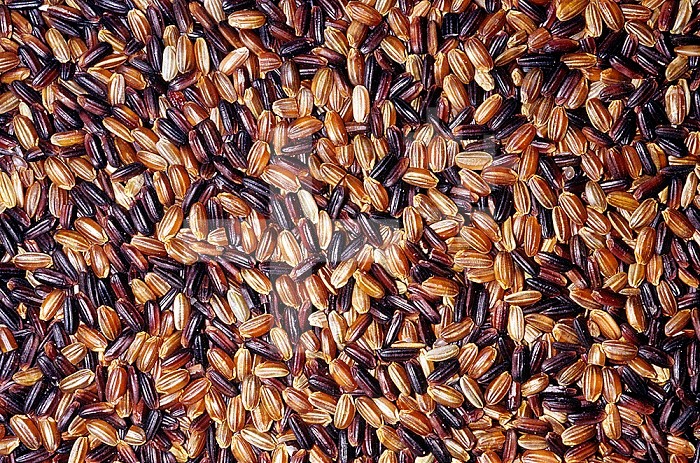 A blend of medium-grain black and mahogany Japonica Rice (Oryza).