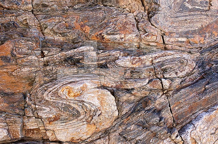 Folded gneiss, Southeastern California, USA. These folds are called recumbent because their axial surfaces are nearly horizontal.