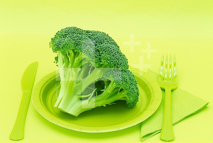 Broccoli.