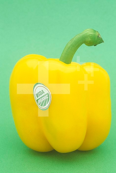 Organic bell pepper.