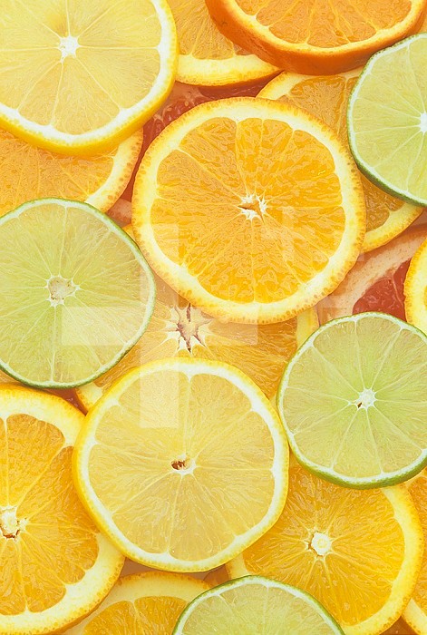 Citrus slices. Lemon, lime, orange, grapefruit and tangerine.