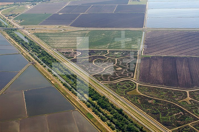 Aerial view of flooded and unflooded Rice fields (Oryza sativa), Sacramento Valley, California, USA.