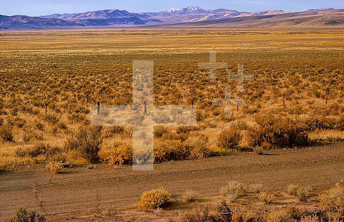 Basin and range topography in the Great Basin Desert, Nevada, USA.