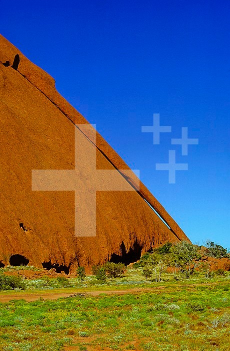 Ayers Rock or Uluru, an inselberg in the Central Australian desert showing weathering and exfoliation.