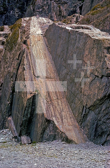 Franz Josef Glacier has recently plucked this schist rock, breaking it at joint planes. West Coast, New Zealand.