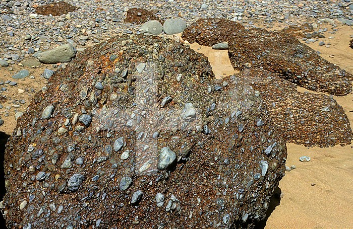Boulders of Pleistocene conglomerate rocks fallen from a sea cliff. Hawkes Bay, New Zealand.