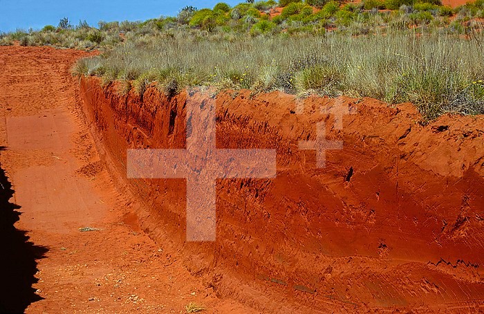 Soil profile in a desert soil in Central Australia. The red and yellow colors are iron oxides or laterites formed under oxidizing conditions.
