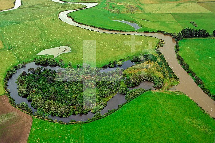 Aerial view of an oxbow lake cut off from a silted meandering river. Southland plains, New Zealand.