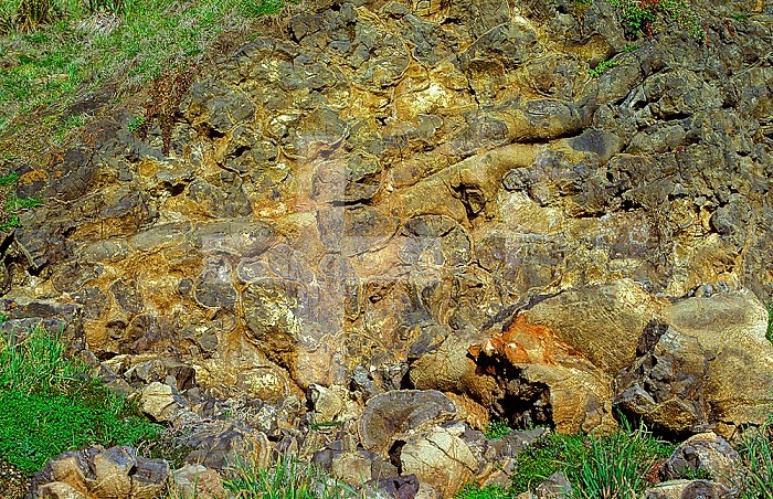 Tangled mass of lava flow lobes called pillows on a cliff face. Near Auckland, New Zealand.
