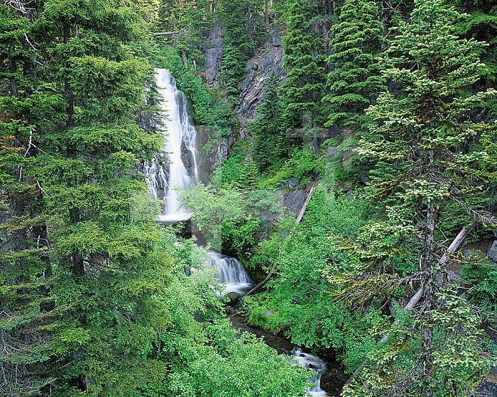 Sahalie Falls, Mt. Hood Wilderness Area, Mt. Hood National Forest, Oregon, USA.