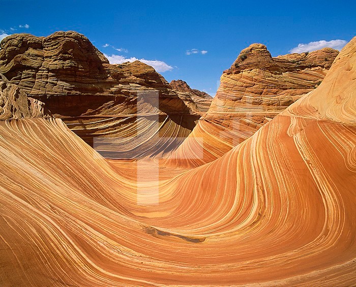 Sandstone slickrock formation, Paria Canyon, Vermillion Cliffs Wilderness Area, Arizona, USA.