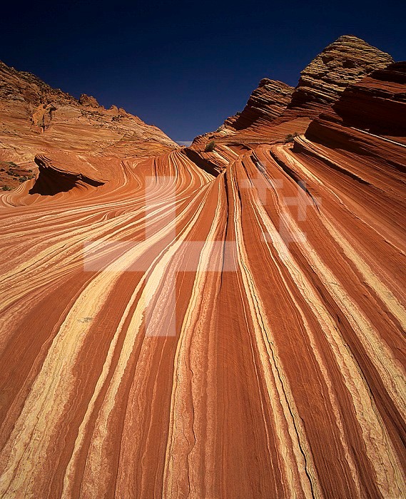 Sandstone slickrock formation, Vermillion Cliffs Wilderness Area, Southern Utah, USA.